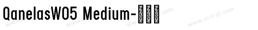 QanelasW05 Medium字体转换 QanelasW05 Medium字体转换